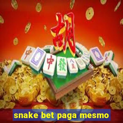 snake bet paga mesmo